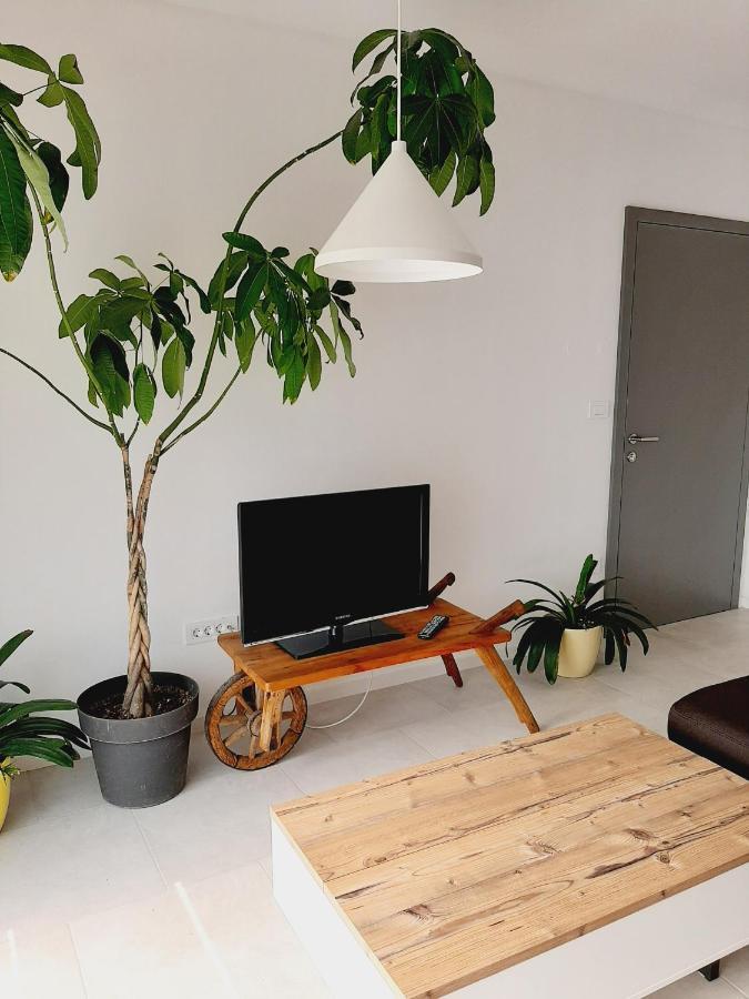 Green Bee Apartment Lesce  Zewnętrze zdjęcie